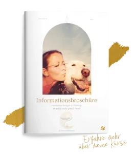 Dog Human Walk Hundeschule Hundepsychologie Hundetraining Bitburg Trier Wittlich Informationsbroschüre