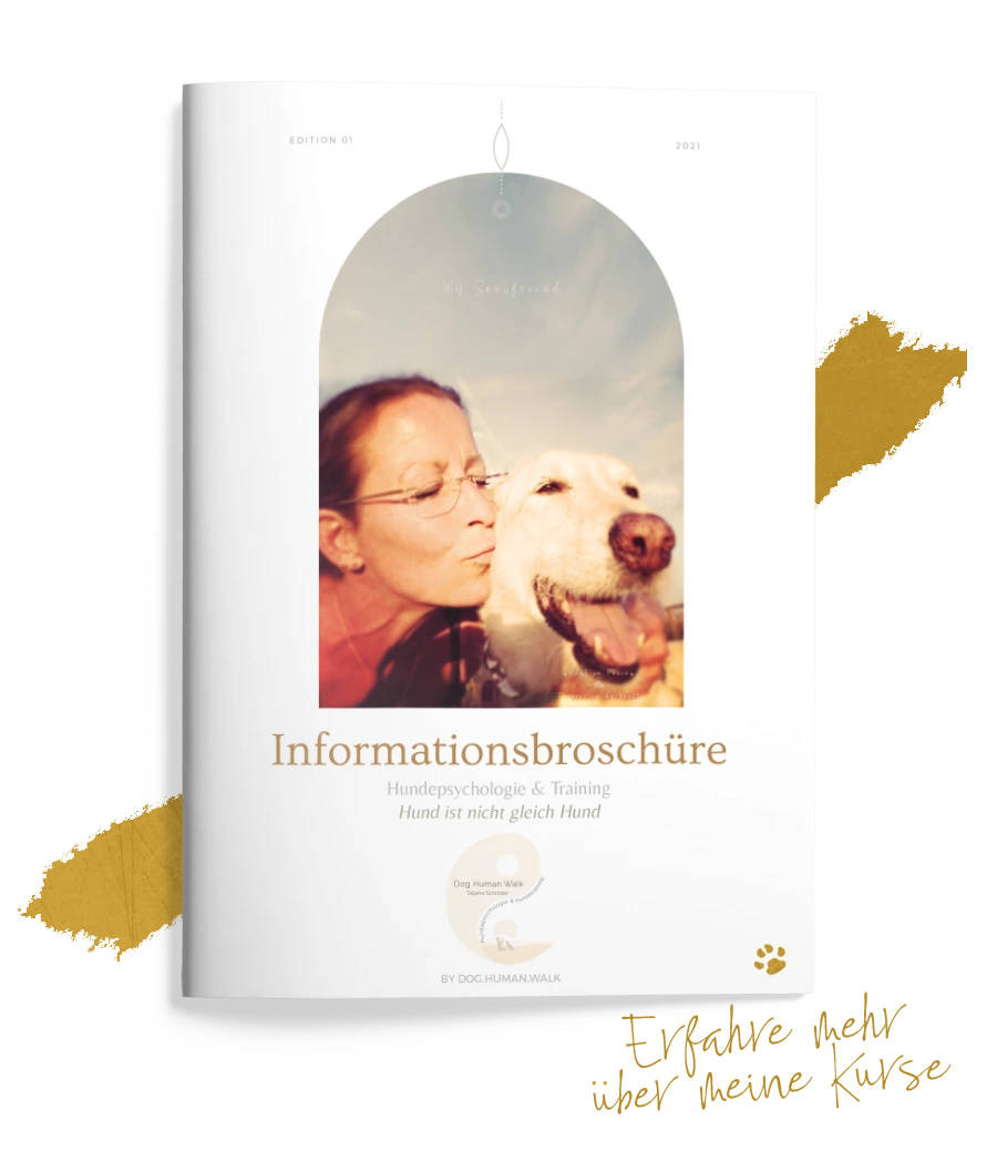 Dog Human Walk Hundeschule Hundepsychologie Hundetraining Bitburg Trier Wittlich Informationsbroschüre