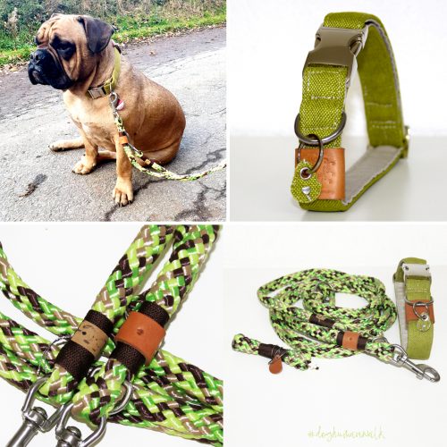 Hundeleine Hundehalsband grün Kombination Best Friends Dog Human Walk