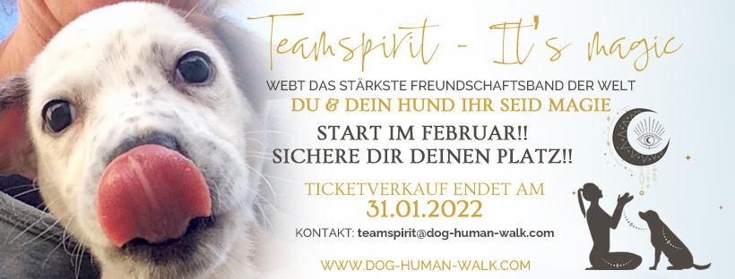 Dog Human Walk Hundepsychologe Hundeschule Bitburg Wittlich Trier Luxemburg Rheinland Pfalz