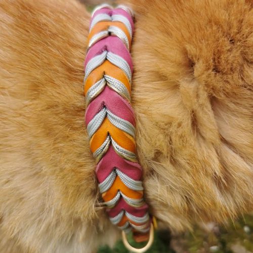 Hundehalsband Hundeleine Leder geflochten farbig