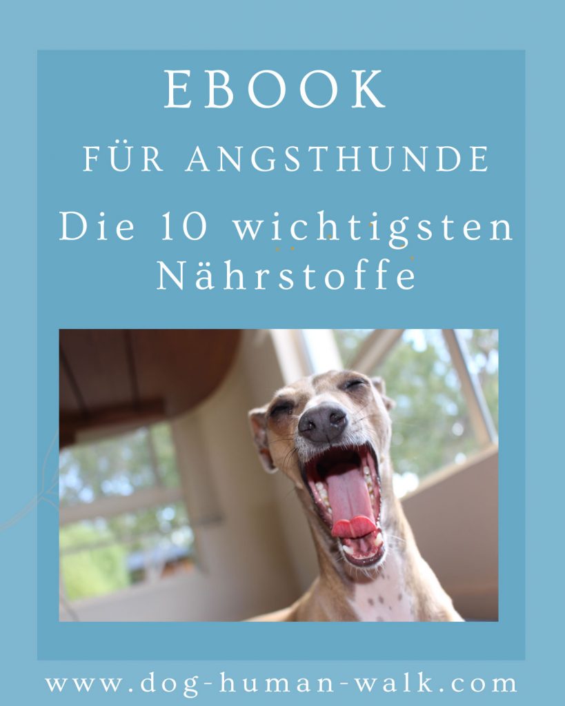 Nährstoffe für Angsthunde Dog Human Walk Hundeschule Bitburg Wittlich Trier Luxemburg Rheinland-Pfalz