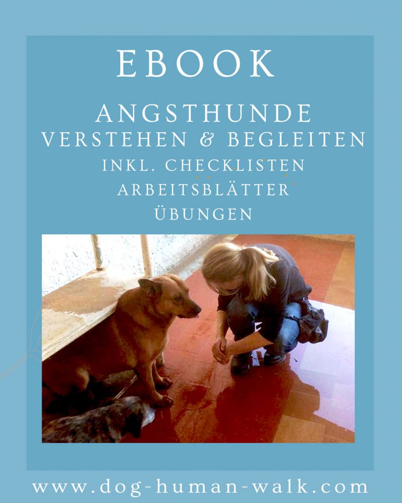 Angsthunde verstehen Dog Human Walk Hundeschule Bitburg Wittlich Trier Luxemburg Rheinland-Pfalz