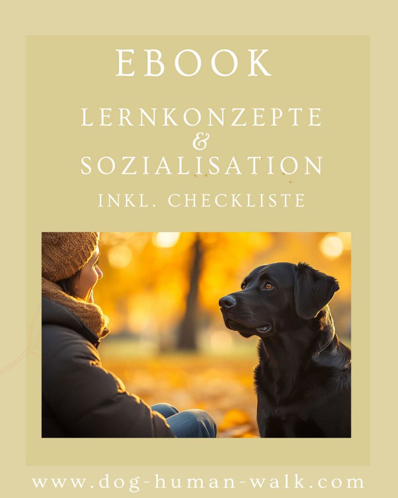 Lernkonzepte und Sozialisation Dog Human Walk Hundeschule Bitburg Wittlich Trier Luxemburg Rheinland-Pfalz