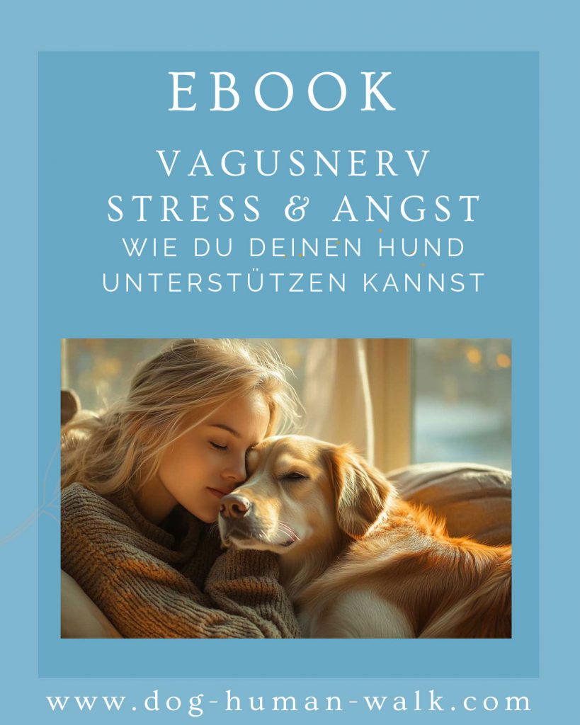 Vagusnerv Stress und Angst Dog Human Walk Hundeschule Bitburg Wittlich Trier Luxemburg Rheinland-Pfalz