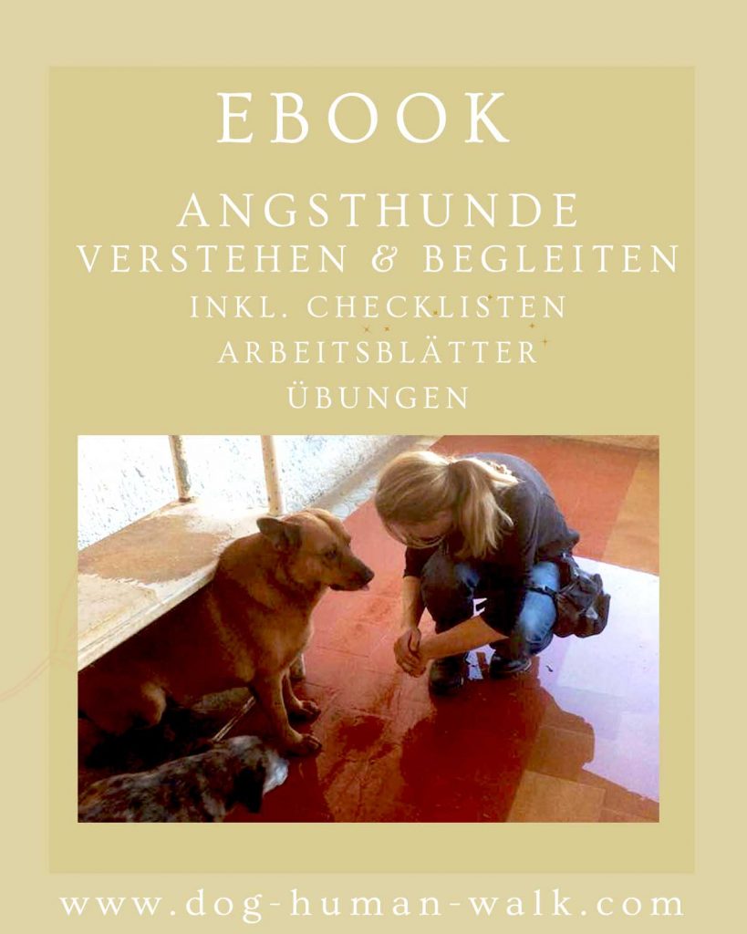 ebook Angsthunde beim Hund verstehen und begleiten Hundegesundheit Darmerkrankungen Dog Human Walk Tierheilpraxis Wittlich Trier Luxemburg Rheinland-Pfalz Nordrhein Westfalen