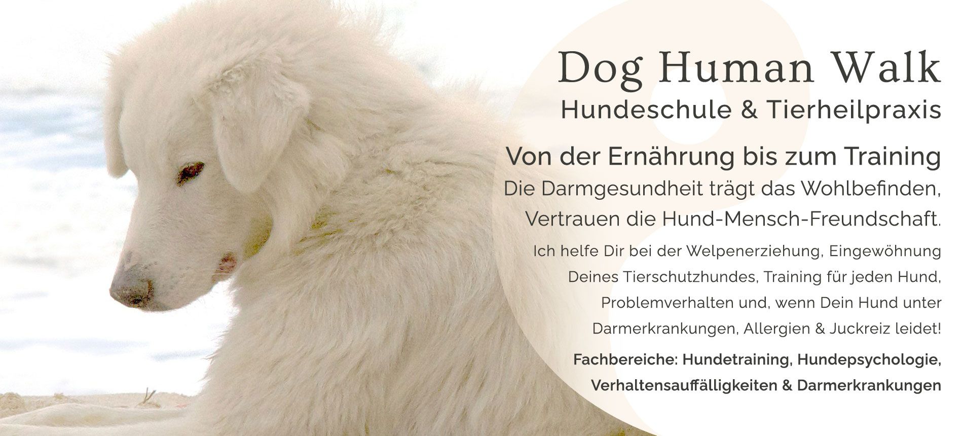 Dog Human Walk Hundeschule Tierheilpraxis Hundepsychologin Ernährungsberaterin Hilfe bei Darmerkrankungen Juckreiz Durchfall Verhaltensauffälligkeiten beim Hund Bitburg Dudeldorf Trier Wittlich Rheinland Pfalz Nordrhein Westfalen Luxemburg Holland Frankreich