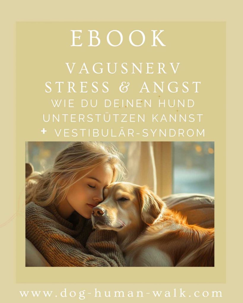 ebook Vagusnerv, Stress und Angst beim Hund verstehen und unterstützen Hundegesundheit Darmerkrankungen Dog Human Walk Tierheilpraxis Wittlich Trier Luxemburg Rheinland-Pfalz Nordrhein Westfalen