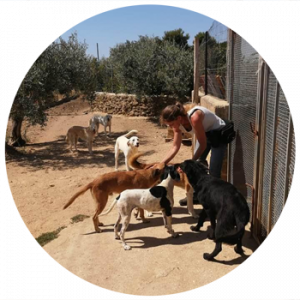 Tatjana Schröder Hundetrainerin Hundepsychologin Tierheilpraktikerin Hundeschule und Tierheilpraxis Dog Human Walk Dudeldorf Bitburg Wittlich Speicher Trier Luxemburg Rheinland Pfalz Nordrhein Westfalen