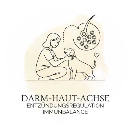 darm-haut-achse Gesundheit Hund Dog Human Walk Tierheilpraktikerin Infografik