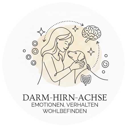 darm-hirn-achse Gesundheit Hund Dog Human Walk Tierheilpraktikerin Infografik