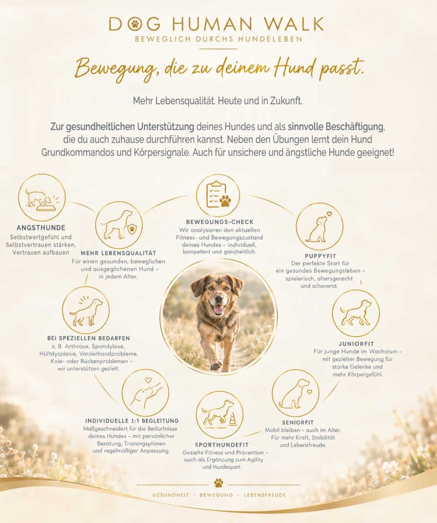 Bewegungssystem für Hunde Bewegung, die zu jedem Hund passt Dog Human Walk Hundesport Hunde beschäftigen Tierheilpraxis Hundegesundheit Bitburg Trier Luxembourg