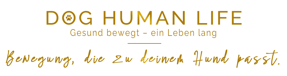 Dog Human Life gesunde Bewegung für jeden Hund Unterstützung bei Erkrankungen des Bewegungsapparates Angsthunden Sicherheit vermitteln Hundeschule Hundepsychologie Dog Human Walk Rheinland Pfalz Luxembourg Bitburg Wittlich Trier