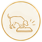 Angsthunde gezielte Bewegung Unterstützung Begleitung Dog Human Walk Hundepsychologie Hundeschule Bitburg Wittlich Trier Luxembourg