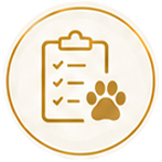 Bewegungscheck Bewegungssystem für Hunde Bewegung, die zu jedem Hund passt Dog Human Walk Hundesport Hunde beschäftigen Tierheilpraxis Hundegesundheit Bitburg Trier Luxembourg