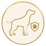 Mehr Lebensqualität für deinen Hund