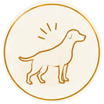 Bewegungscheck Hunde mit Erkrankungen Bewegungsapparat Bewegungssystem für Hunde Bewegung, die zu jedem Hund passt Dog Human Walk Hundesport Hunde beschäftigen Tierheilpraxis Hundegesundheit Bitburg Trier Luxembourg