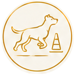 Hundesportfit begleitend zu Agility oder anderen Hundesportarten Bewegungssystem für gesunde Bewegung für jeden Hund Dog human Walk Hundeschule Tierheilpraxis Hundepsychologie Bitburg Trier Wittlich Luxembourg