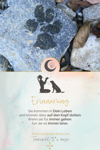 Dog Human Walk Hundeschule Hundepsychologe Hundetraining Bitburg Trier Wittlich Erinnerung