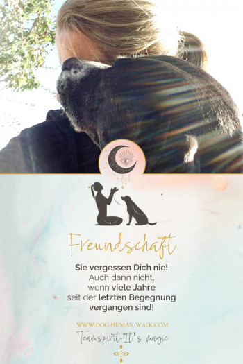 Dog Human Walk Hundeschule Hundepsychologe Hundetraining Bitburg Trier Wittlich Freundschaft