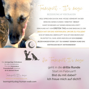Dog Human Walk Hundepsychologe Hundeschule Bitburg Wittlich Trier Luxemburg Rheinland Pfalz