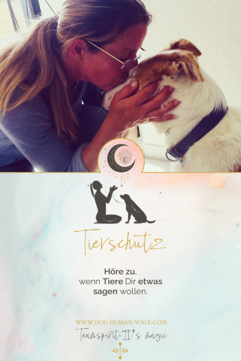 Dog Human Walk Hundeschule Hundepsychologe Hundetraining Bitburg Trier Wittlich Seelenhund