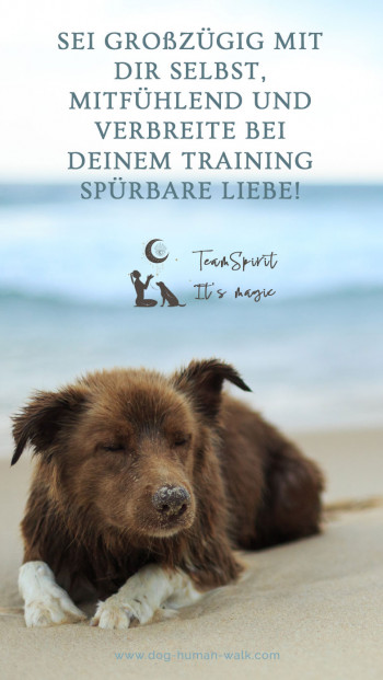 Dog Human Walk Hundeschule Hundepsychologe Hundetraining Bitburg Trier Wittlich Liebe