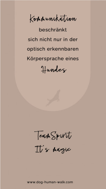 Dog Human Walk Hundeschule Hundepsychologe Hundetraining Bitburg Trier Wittlich Körpersprache