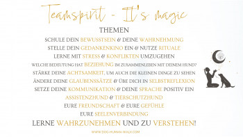 Dog Human Walk Hundeschule Hundepsychologe Hundetraining Bitburg Trier Wittlich Teamspirit