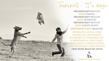 Dog Human Walk Hundeschule Hundepsychologe Hundetraining Bitburg Trier Wittlich Teamspirit