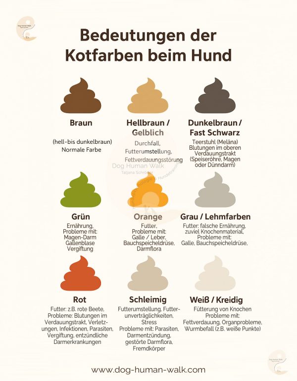 Kotabsatz Farben beim Hund Formen und Konsistenz Bristol Skala Hundegesundheit Darmerkrankungen Dog Human Walk Tierheilpraxis Wittlich Trier Luxemburg Rheinland-Pfalz Nordrhein Westfalen