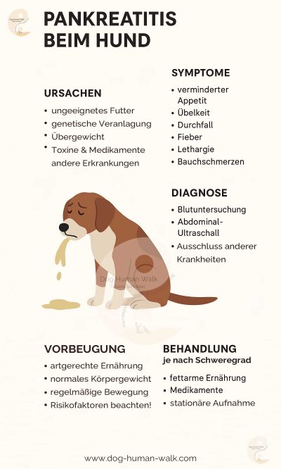 Bauchspeicheldrüsenentzündung Pankreatitis beim Hund erkennen und richtig füttern Dog Human Walk Hundeschule Tierheilpraktiker Rheinland Pfalz Bitburg Wittlich Trier Ernährung