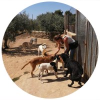 Tatjana Schröder Hundetrainerin Hundepsychologin Tierheilpraktikerin Hundeschule und Tierheilpraxis Dog Human Walk Dudeldorf Bitburg Wittlich Speicher Trier Luxemburg Rheinland Pfalz Nordrhein Westfalen