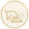 Angsthunde gezielte Bewegung Unterstützung Begleitung Dog Human Walk Hundepsychologie Hundeschule Bitburg Wittlich Trier Luxembourg