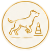 Hundesportfit begleitend zu Agility oder anderen Hundesportarten Bewegungssystem für gesunde Bewegung für jeden Hund Dog human Walk Hundeschule Tierheilpraxis Hundepsychologie Bitburg Trier Wittlich Luxembourg