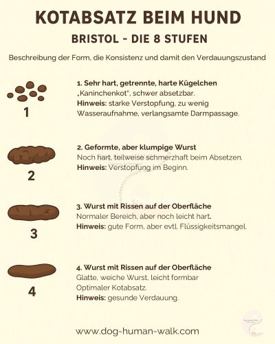 Kotabsatz beim Hund Formen und Konsistenz Bristol Skala Hundegesundheit Darmerkrankungen Dog Human Walk Tierheilpraxis Wittlich Trier Luxemburg Rheinland-Pfalz Nordrhein Westfalen