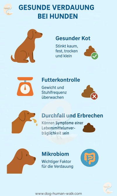 magen-verdauung-hund