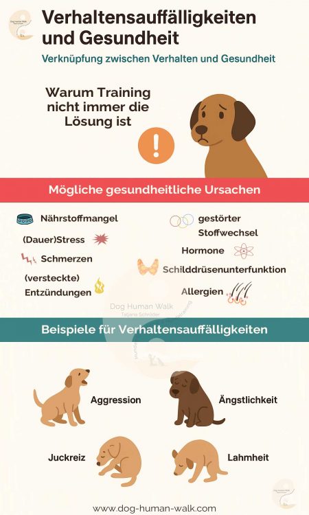 Verhaltensauffälligkeiten und Gesundheit Wenn der Hund unerklärliches Verhalten zeigt steckt oft eine Krankheit dahinter Dog Human Walk Hundeschule Tierheilpraktiker Rheinland Pfalz Bitburg Wittlich Trier Ernährung